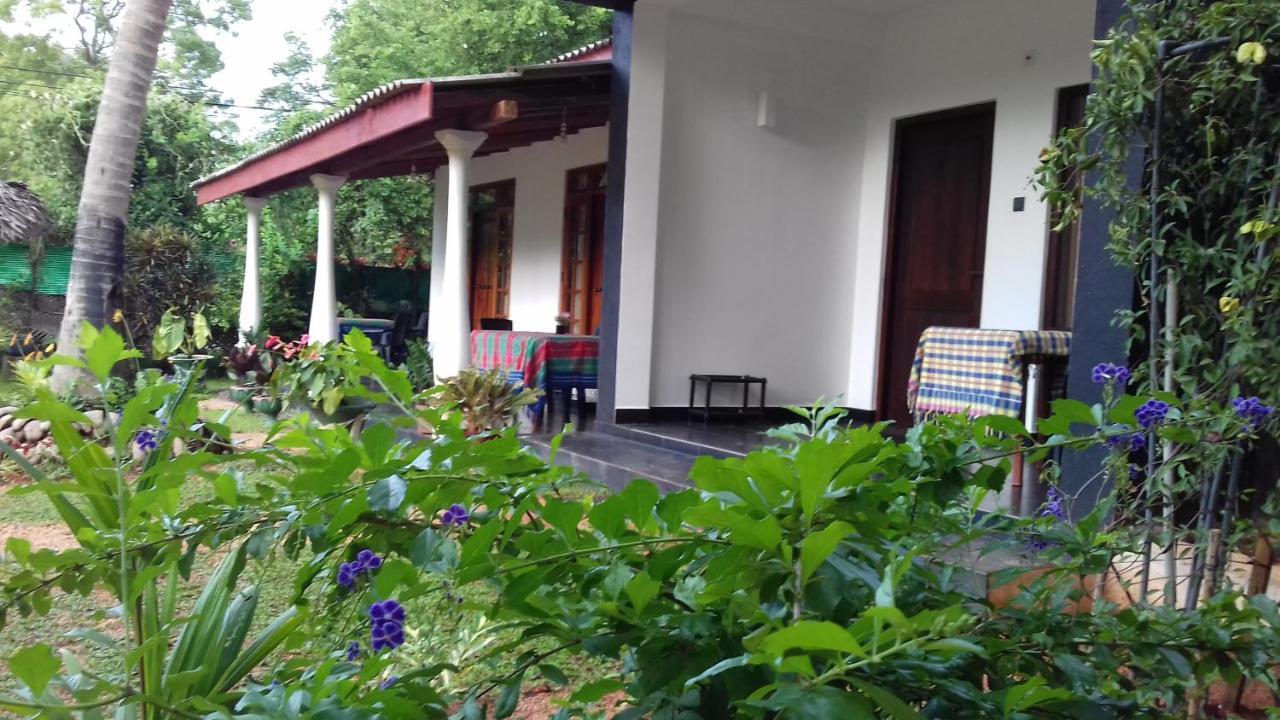 Sigiri Shen Residence Szigirija Kültér fotó